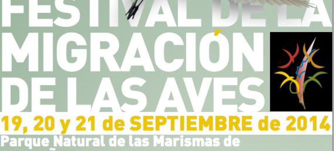 Festival de la Migración de las Aves en Santoña del 19 al 21 de Septiembre.